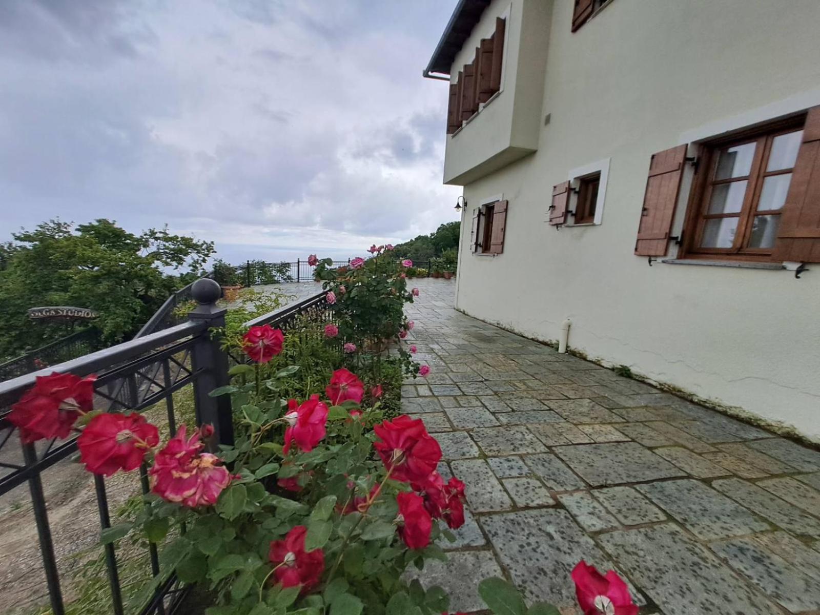 Olga Studios Цагарада Экстерьер фото