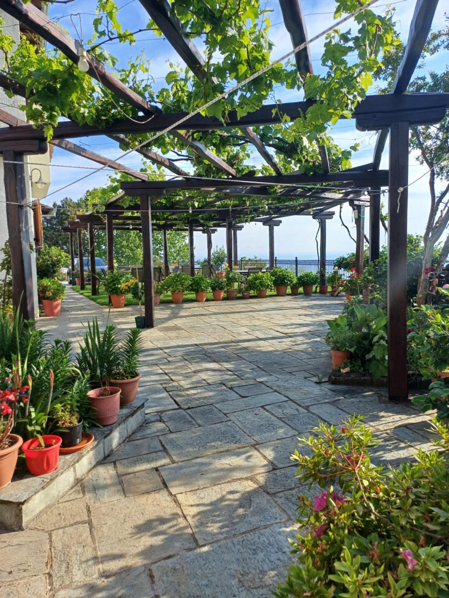 Olga Studios Цагарада Экстерьер фото